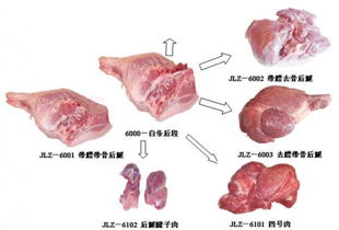 豬肉副產品的高值化利用 食品生產技術與產業(yè)發(fā)展路徑